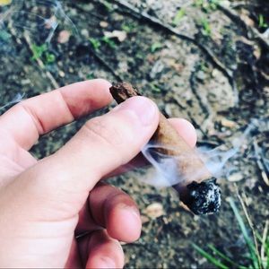 Meet your Posher, Zachary